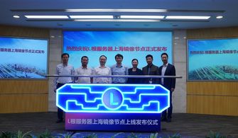 中国互联网迎来新篇章 上海镜像根服务器节点正式上线