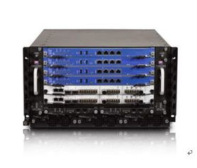 网络空间拟态防御家族的队列 互联网域名根服务器运行安全保障体系